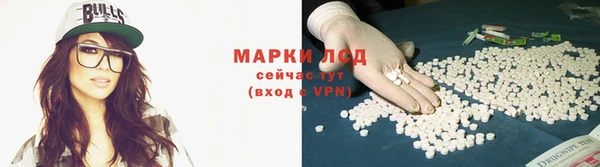 ГАЛЛЮЦИНОГЕННЫЕ ГРИБЫ Беломорск