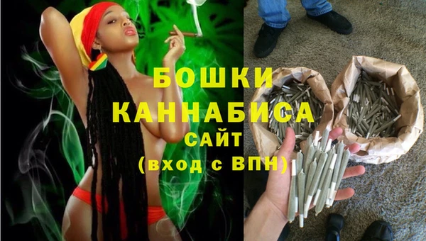 молекула духа Белокуриха
