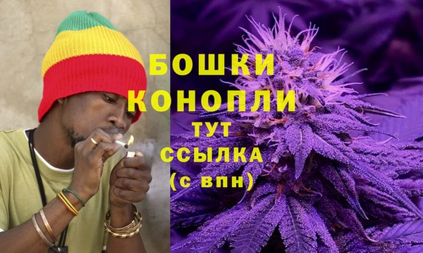 молекула духа Белокуриха