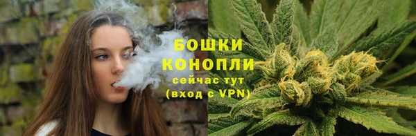 ГАЛЛЮЦИНОГЕННЫЕ ГРИБЫ Беломорск