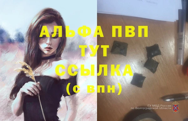 spice Белоозёрский